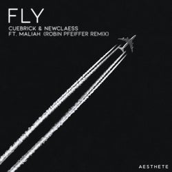 Fly - Robin Pfeiffer Remix