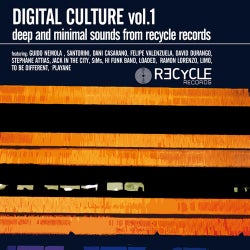 Digital Culture Volume 1 - Deep And Minimal Sounds From Recycle Records Cd 2			
