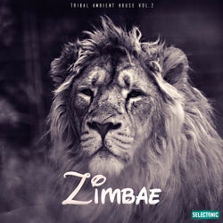 Zimbae: Tribal Ambient House, Vol. 2