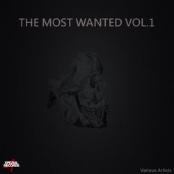 The Most Wanted, Vol. 1