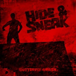 Hide And Sneak
