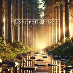 Lost reflections