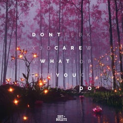 Don't Care What You Do