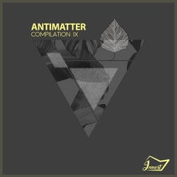 Antimatter IX