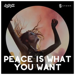 Peace Is What You Want - Extended Mix