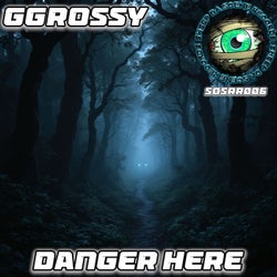 Danger Here EP