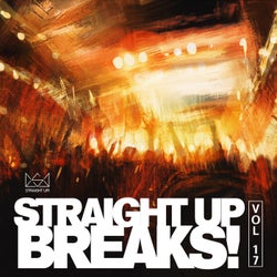 Straight Up Breaks! Vol. 17