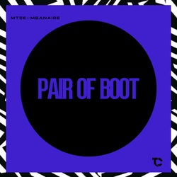 Pair Of Boot