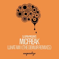 What Am I (The Demuir Remixes - Beatport Edition)
