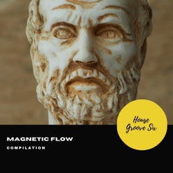 Magnetic Flow