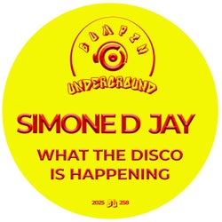 What The Disco Is Happening