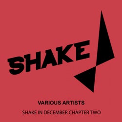 Shake In December Chapter Two