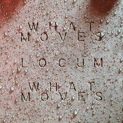 What Moves - Locum Edit