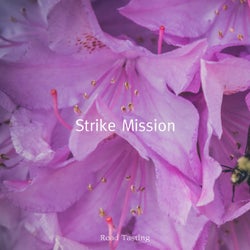 Strike Mission