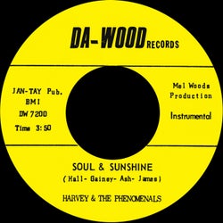 What Can I Do (To Prove My Love Is Real) b/w Soul & Sunshine