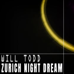 Zurich Night Dream