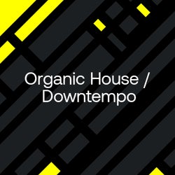 ADE Special 2023: Organic House / Downtempo