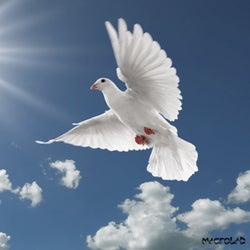 Bird Of Pray EP
