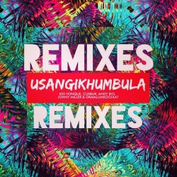 Usangikhumbula (Remixes)