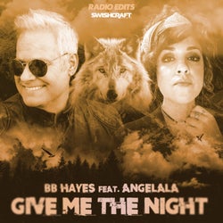 Give Me The Night (Radio Edits)