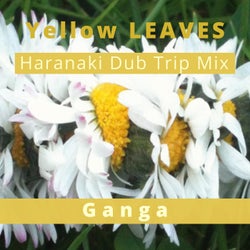Yellow Leaves Haranaki Dub Trip Mix