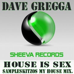 Dave Gregga House Is Sex