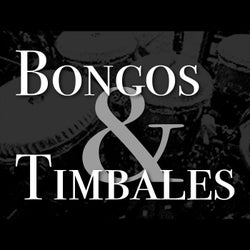 Bongos and Timbales