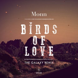 Birds Of Love - The Galaxy Remix