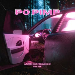 PO Pimp (radio edit)