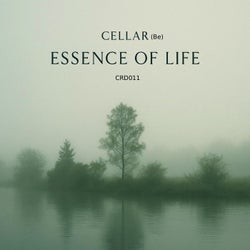 Essence of Life