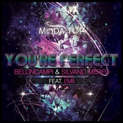 You're Perfect (feat. Emii)