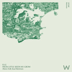 From Little Seeds We Grow - 4hero Folk Soul Remix