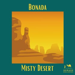 Misty Desert