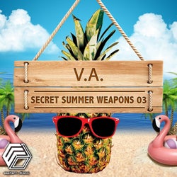 Secret Summer Weapons 03