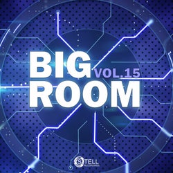 Big Room, Vol. 15