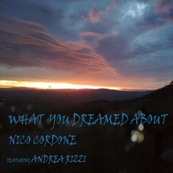 What You Dreamed About (Original Mix)