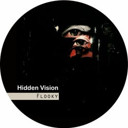 Hidden Vision