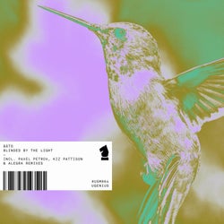 Blinded by the Light