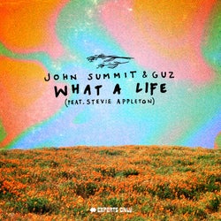 What A Life - Extended Mix