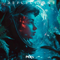Reflections