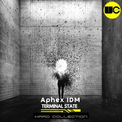 Terminal State (Hard Collection)