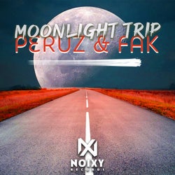 Moonlight Trip
