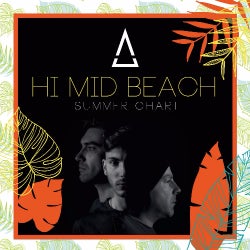 Hi Mid Beach/Summer Chart