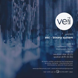 Binary System