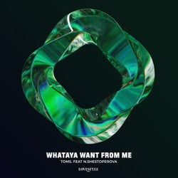 Whataya Want from Me (Extended Mix)