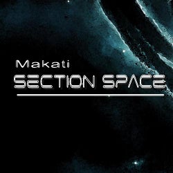 Section Space