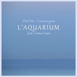 Petite Camargue (feat. Coma Coast) - EP