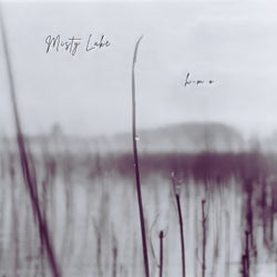 Misty Lake