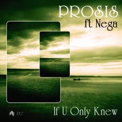 If U Only Knew Remixes (Part 2)