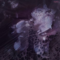 Blossom EP
